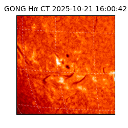 gong - 2025-10-21T16:00:42