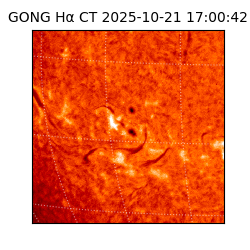 gong - 2025-10-21T17:00:42