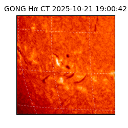 gong - 2025-10-21T19:00:42