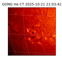 gong - 2025-10-21T21:03:42