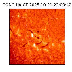 gong - 2025-10-21T22:00:42