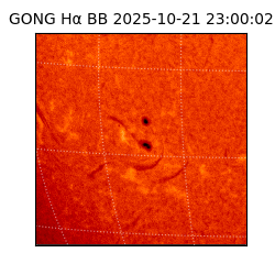 gong - 2025-10-21T23:00:02