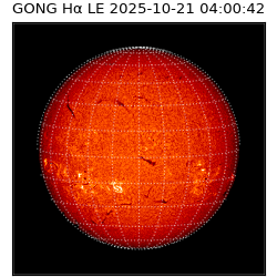 gong - 2025-10-21T04:00:42