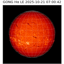 gong - 2025-10-21T07:00:42