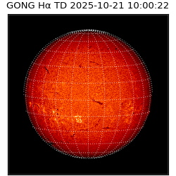gong - 2025-10-21T10:00:22