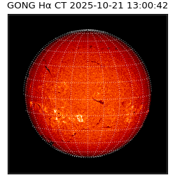 gong - 2025-10-21T13:00:42