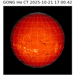 gong - 2025-10-21T17:00:42