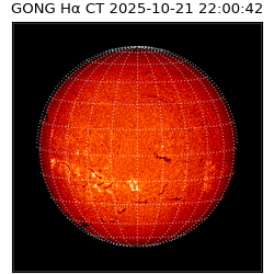gong - 2025-10-21T22:00:42