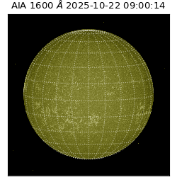 saia - 2025-10-22T09:00:14.129000