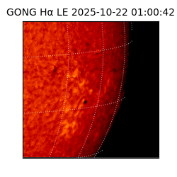 gong - 2025-10-22T01:00:42