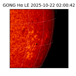 gong - 2025-10-22T02:00:42
