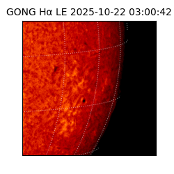 gong - 2025-10-22T03:00:42