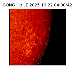 gong - 2025-10-22T04:00:42