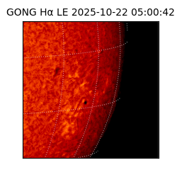 gong - 2025-10-22T05:00:42