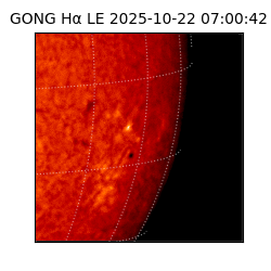 gong - 2025-10-22T07:00:42