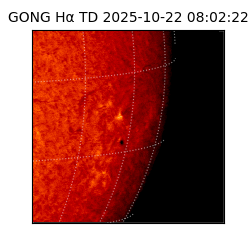 gong - 2025-10-22T08:02:22