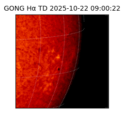 gong - 2025-10-22T09:00:22