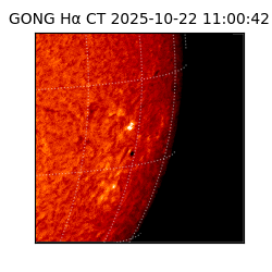 gong - 2025-10-22T11:00:42