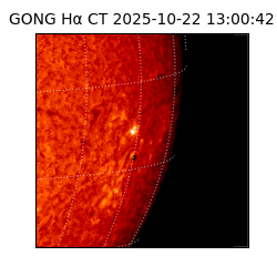 gong - 2025-10-22T13:00:42