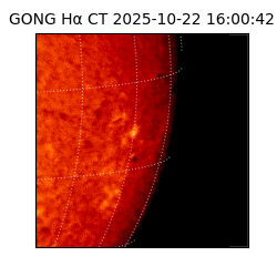 gong - 2025-10-22T16:00:42