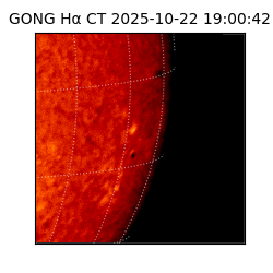 gong - 2025-10-22T19:00:42