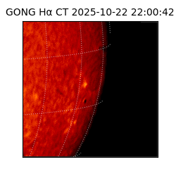 gong - 2025-10-22T22:00:42