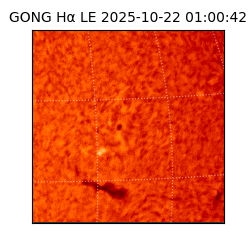 gong - 2025-10-22T01:00:42