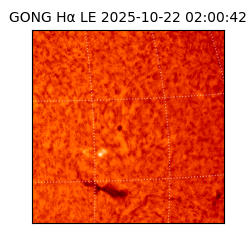 gong - 2025-10-22T02:00:42