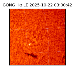 gong - 2025-10-22T03:00:42
