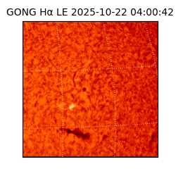 gong - 2025-10-22T04:00:42