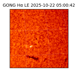 gong - 2025-10-22T05:00:42