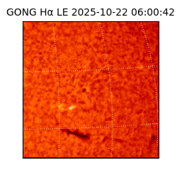 gong - 2025-10-22T06:00:42