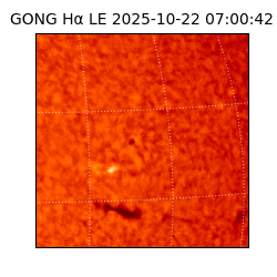 gong - 2025-10-22T07:00:42