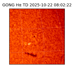 gong - 2025-10-22T08:02:22