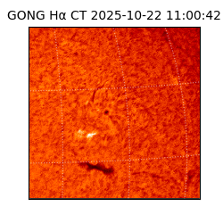 gong - 2025-10-22T11:00:42