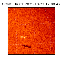 gong - 2025-10-22T12:00:42