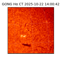 gong - 2025-10-22T14:00:42