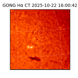 gong - 2025-10-22T16:00:42