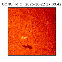 gong - 2025-10-22T17:00:42