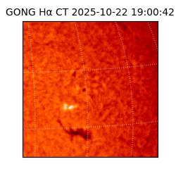gong - 2025-10-22T19:00:42