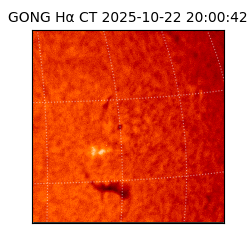 gong - 2025-10-22T20:00:42