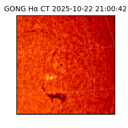 gong - 2025-10-22T21:00:42