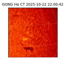 gong - 2025-10-22T22:00:42