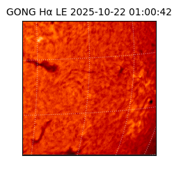 gong - 2025-10-22T01:00:42