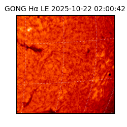 gong - 2025-10-22T02:00:42