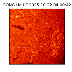 gong - 2025-10-22T04:00:42