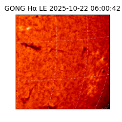 gong - 2025-10-22T06:00:42