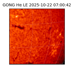 gong - 2025-10-22T07:00:42