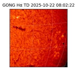 gong - 2025-10-22T08:02:22
