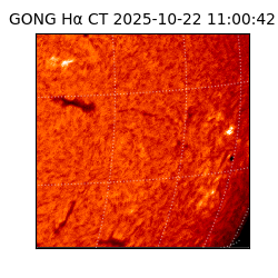 gong - 2025-10-22T11:00:42